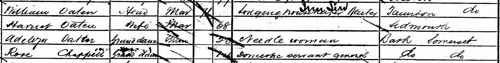 1881 England Census, family of William Oaten, Walcot, Bath, Somerset